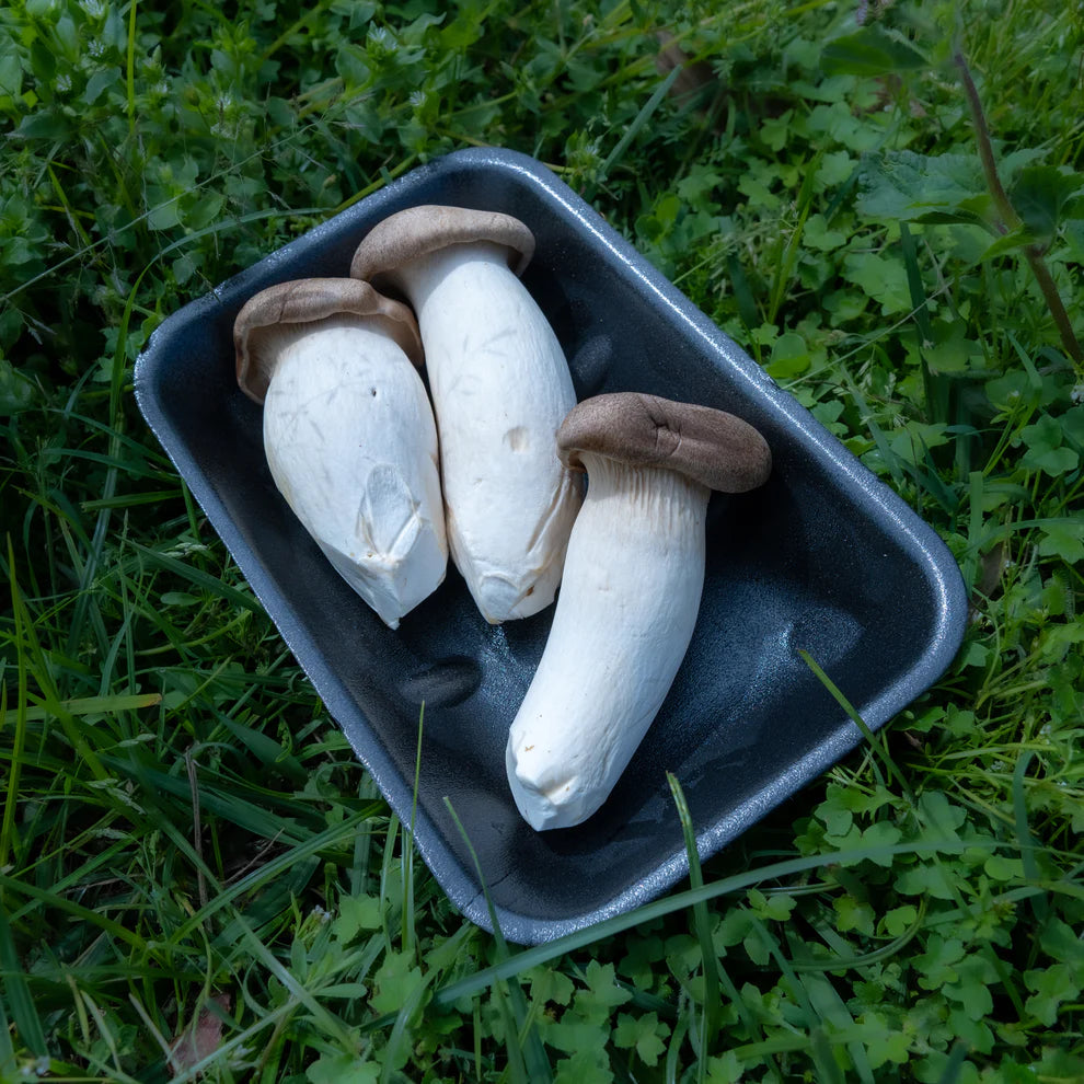 King Oyster Mushroom - 200 grams