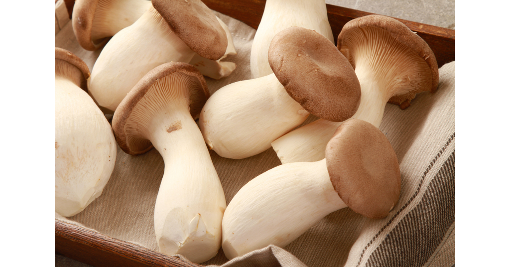 King Oyster Mushroom - 1 kg Chef Pack