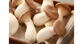 King Oyster Mushroom - 1 kg Chef Pack