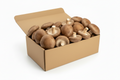 Shiitake Mushroom - 1 kg Chef Pack