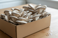 Oyster Mushroom - 1 kg Chef Pack